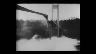 The Collapse of 