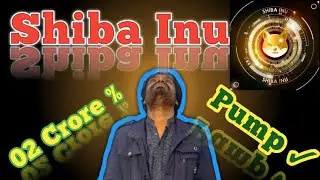 Explain Shiba Inu 2023 Complete || Crypto News Update Daily