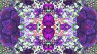 Dharma Ohm - Future Psychedelic - PSYTRANCE MIX  2021