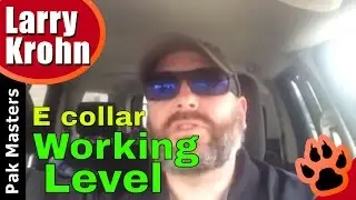 What to do when you can't find the dog's working level on the e collar / remote collar