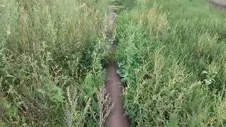Уровень воды в реке Урал на сегодня, город Новотроицк Оренбургская область.