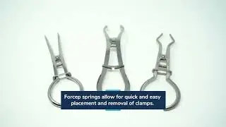 Overview of Rubber Dam Punches and Forceps