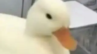 Give me money twomad