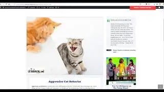 cat clinic edit page image