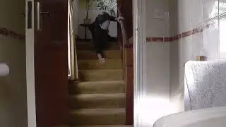 Very dangerous farts for your amusement