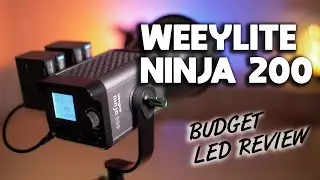 Your next LED COB light? - Weeylite Ninja 200 LED video light FULL REVIEW