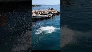 What can you see on the marina in Tucepi