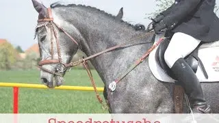 Speedretusche-Pferdefotografie/Turnierfotografie Meltewitz (2/2)