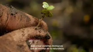 Biología sintética