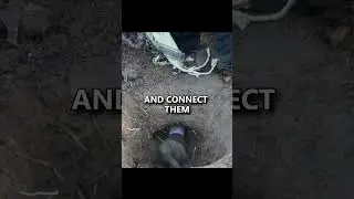 The 'Dakota Fire Hole' Stealth Campfire #camping #survival #bushcraft #wildcamping #fire #shorts