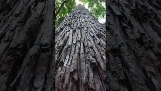 Nature is God's wonderful creation #nature