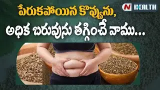 Ajwain (వాము ) Uses And Benefits | Health Tip | N Health