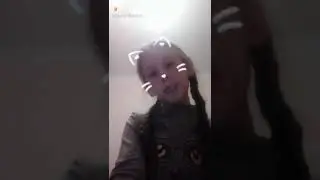 Я котик