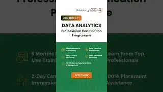 Your 5-Month Journey to Data Mastery!