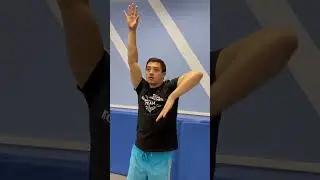 Сухое плавание. С чего начитается гребок в кроле