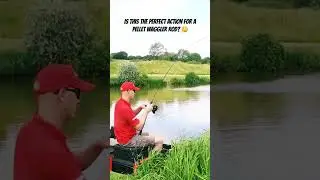 This is the rod you’re looking for to handle commercial carp. #fishing #fishingtackle #matchfishing