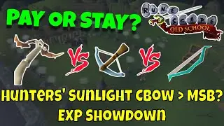 Pay or Stay #49 | Hunter's Sunlight CBow vs Rune CBow vs MSB(i) | OSRS NMZ