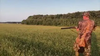 8 сентября 2022 г.