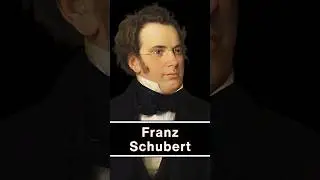 Franz Scubert #franzschubert #schubert #knowledge