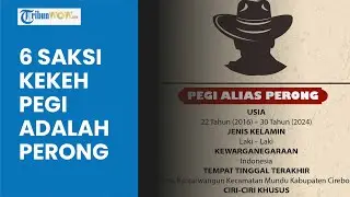 Daftar 6 Saksi yang Sebut Pegi Setiawan adalah Perong, Terancam Diseret ke Penjara