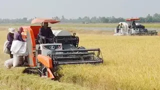 MÁY CẮT LÚA KUBOTA DC 70 CHẠY HỘP SỐ TỐC ĐỘ LÀ ĐÂY