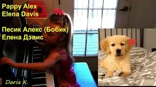 Puppy Alex, Elena Davis, Песик Алекс (Бобик)