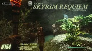 Skyrim Requiem Part 154: Museum of the Mythic Dawn; Returning to Falskaar: A Special Kind of Berry