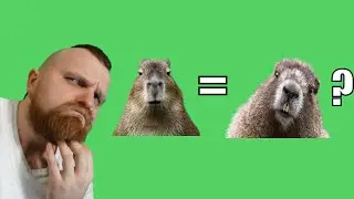 Оскорбил Капибар │ Клипы с MostCRAZYvan