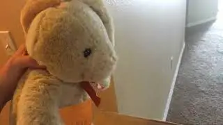How to deal with a bully