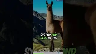BLOCK ads on lock screen - Windows11