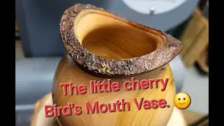 Woodturning a small Live Edge Birds Mouth Vase #birdsmouthvase #woodturning #latheprojects