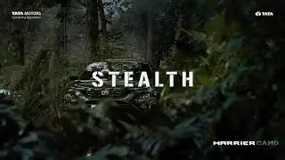Harrier Camo | Stealth Pack