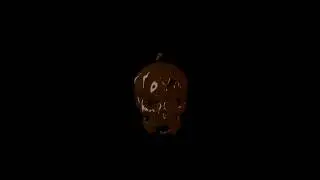 RealFlow liquid skull