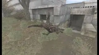#сталкер_баг_