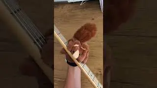 #basssquirrel plays „And the beat goes on“ by The Whispers. Original bassline by Leon Sylvers III