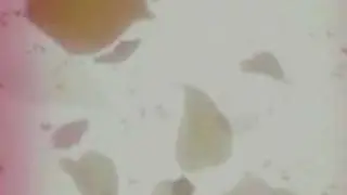 ~Ai no Message~ Production