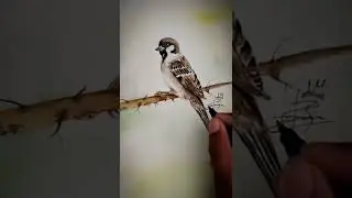 .....😱 Realistic Birds in water colour