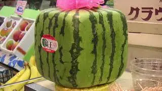 10 Most Expensive Fruits In The World