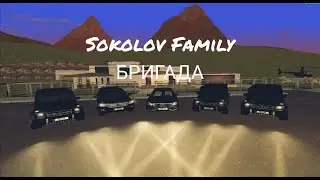 БРИГАДА | Sokolov Family | ДПС остановили БРИГАДУ с нелегальным грузом