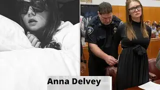 Fake Heiress: The Anna Delvey Story
