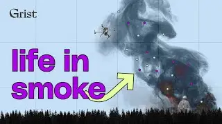 What bacteria in smoke means for our health