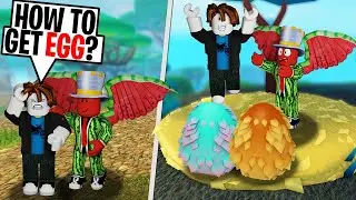 How To Get *EGGS* In 2021 (ROBLOX Dragon Adventures)