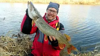 Погода на мороз - ЩУКА клюет! На малой реке со спиннингом