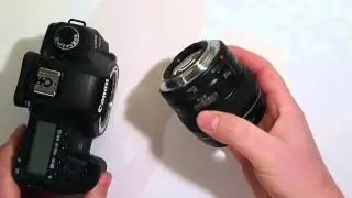 How To Adjust The Aperture On Canon EF Lenses When Using Lens Adapters