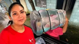 La mamá del mesón recibe ayuda y también acoso! 😨