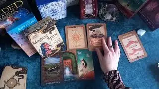 Divine Feminine card reading. Soul Tribe and Manifestation ☀️❤️🌳