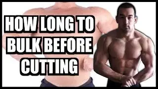 How Long To Bulk Before Cutting? (Proper Bulking Phase Length)