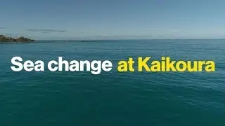 Sea change at Kaikoura