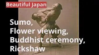 Beautiful Japan: Flower viewing, Sumo wrestling, Buddhist ceremony