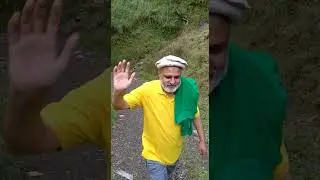 enjoy jungle
